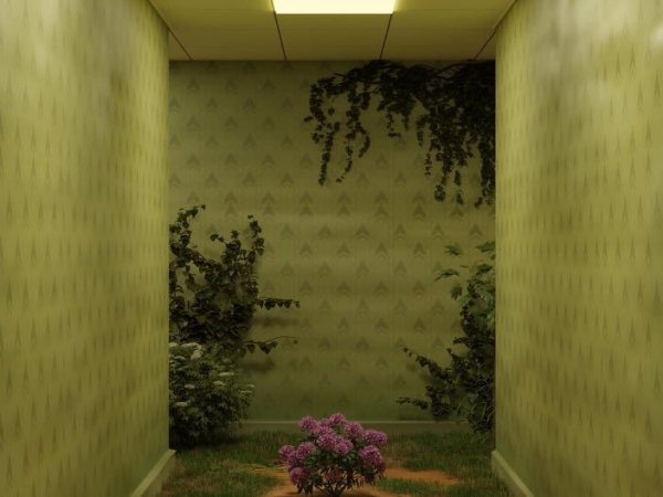 The Liminal Space Aesthetics