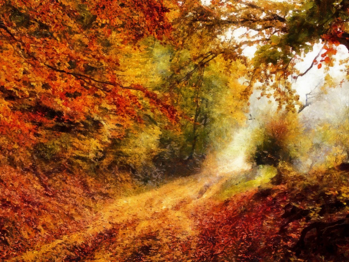 Love Among Autumn Leaves: A Short Story